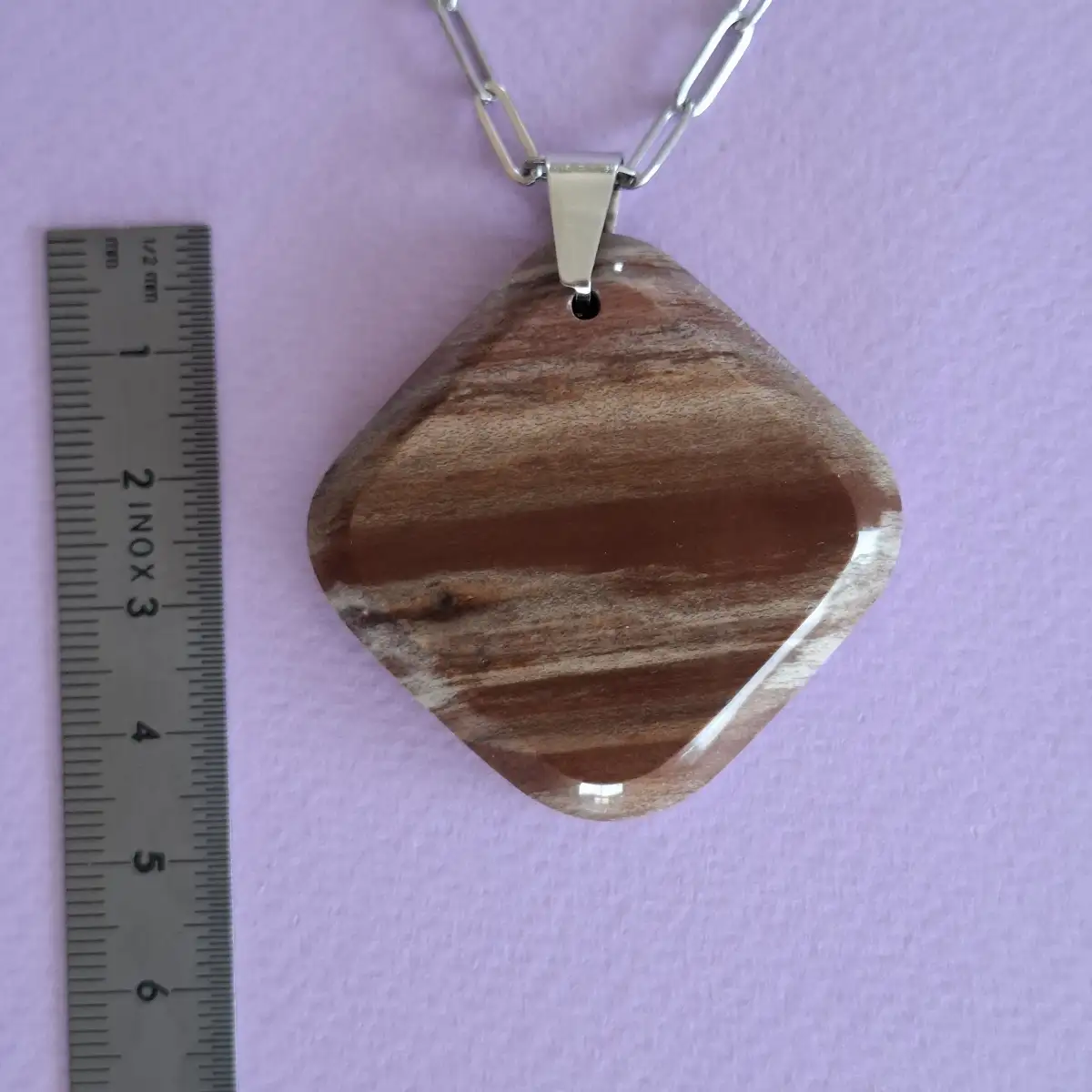 Pendentif en Bois Fossilisé naturel