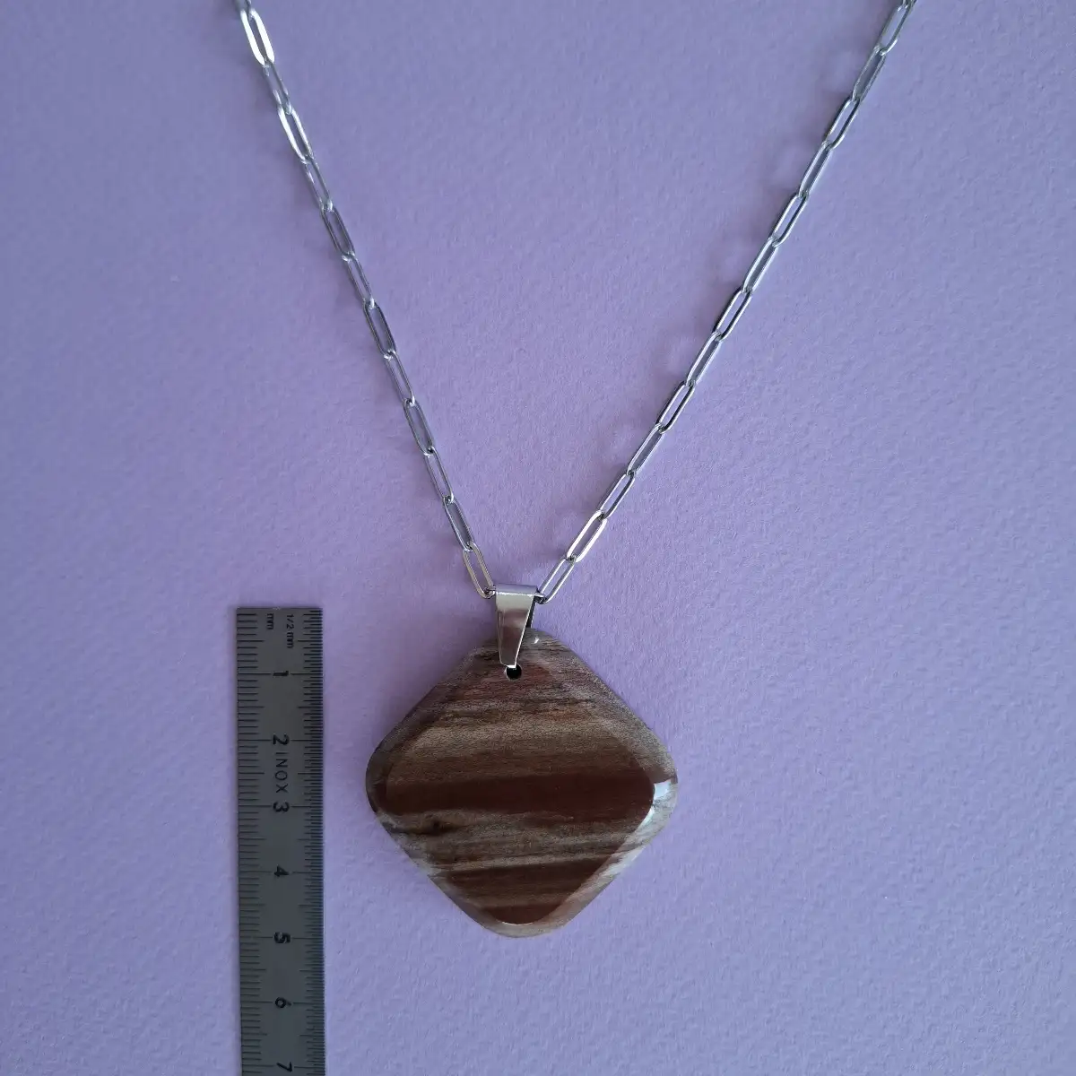 Pendentif en Bois Fossilisé naturel