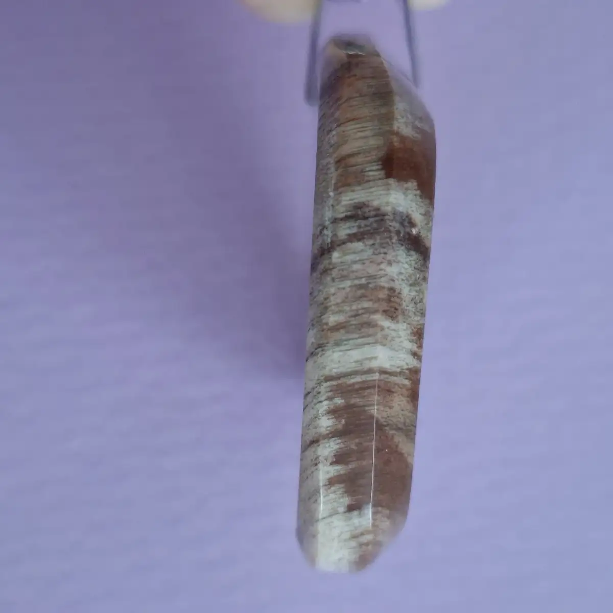 Pendentif en Bois Fossilisé naturel