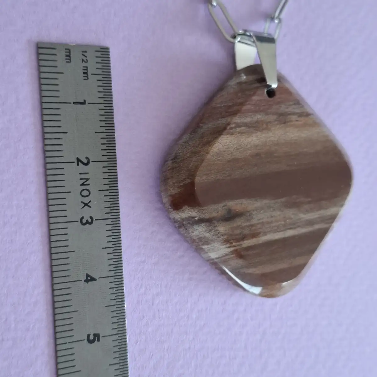 Pendentif en Bois Fossilisé naturel