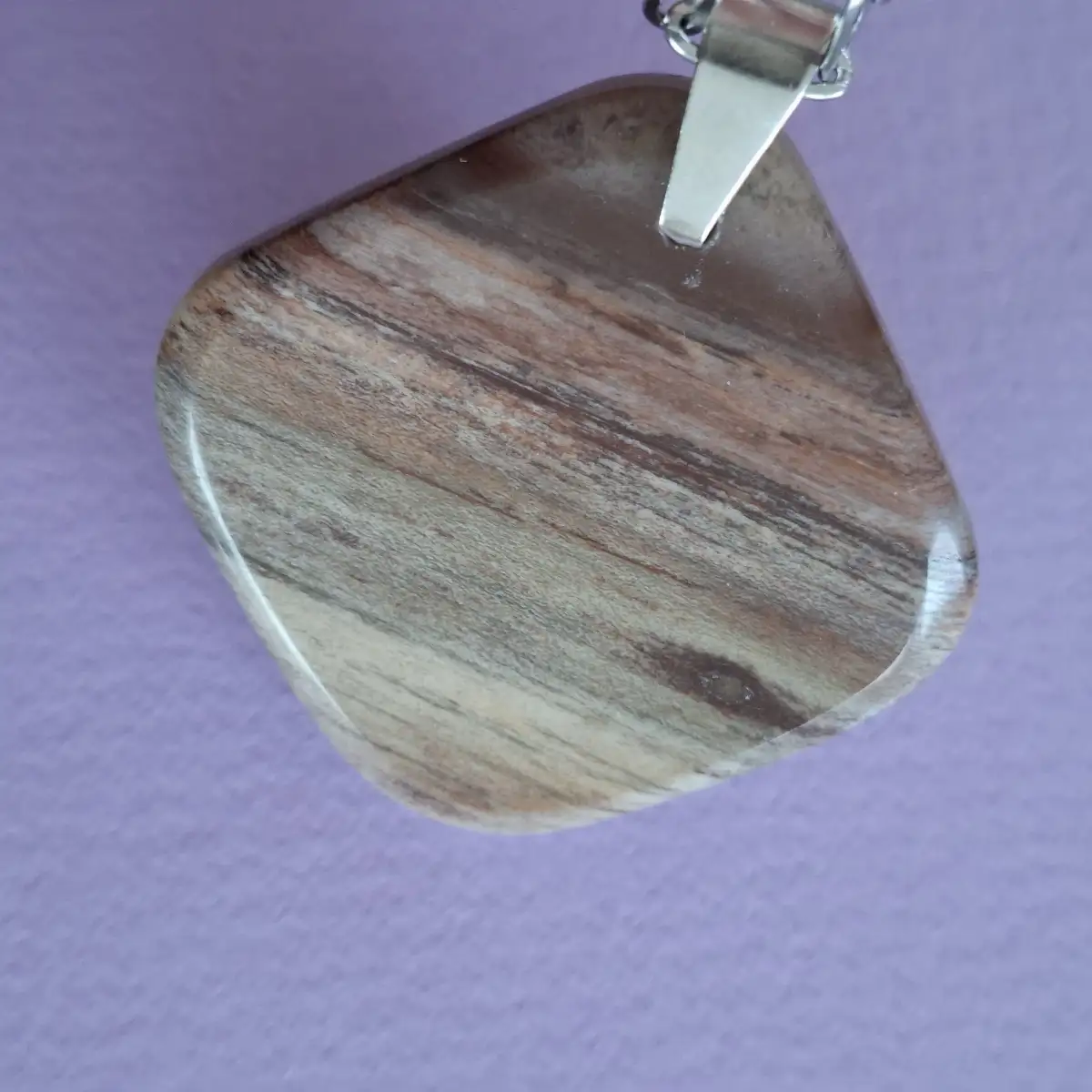 Pendentif en Bois Fossilisé naturel