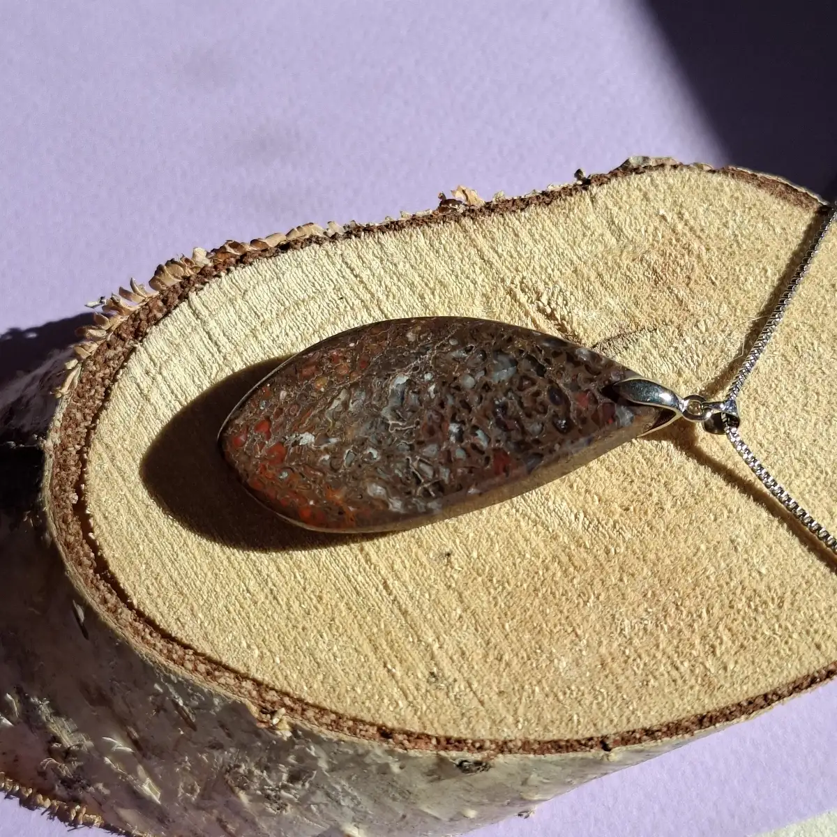 Pendentif en Os de Dinosaure Fossilisé
